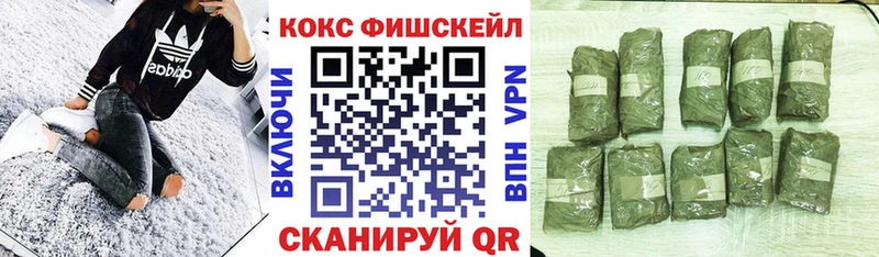 KRAKEN как зайти  как найти закладки  Бакал  Кокаин Перу 