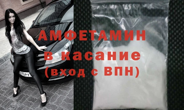 PSILOCYBIN Алзамай