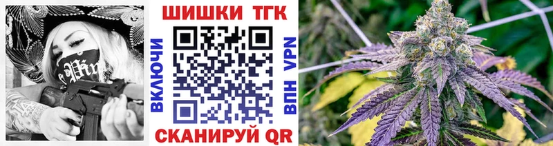 Конопля гибрид  Бакал 
